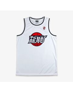 CBA Guangzhou Dragon And Lion Retro Custom Basketball Jersey