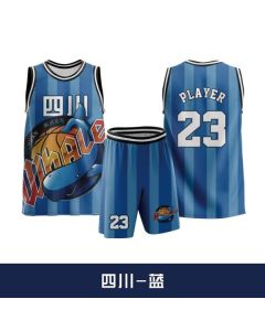 CBA Sichuan Whale Retro Custom Basketball Jersey
