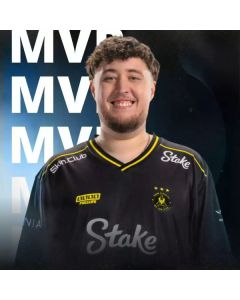 2026 Vitality Bee CS2 Jersey Zywoo Ropz Same T-Shirt