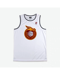 CBA Shanxi Raptors Retro Custom Basketball Jersey
