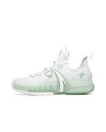 Anta x Gordon Hayward GH2 “Boston Celtics” Men's Low Basketball Shoes