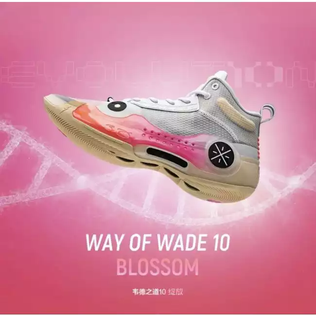 LiNing Way of Wade 10 
